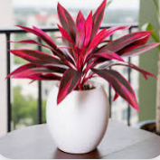 Faux Red Tropical Plant — 18-Leaf UV Resistant Outdoor Statement Plant