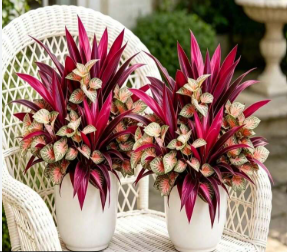 Faux Red Tropical Plant — 18-Leaf UV Resistant Outdoor Statement Plant