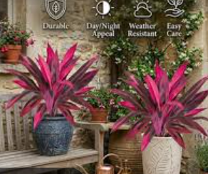 Faux Red Tropical Plant — 18-Leaf UV Resistant Outdoor Statement Plant